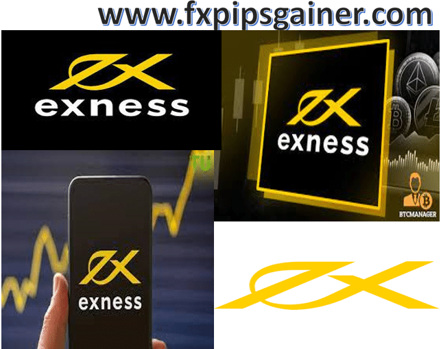Exness Broker for Beginners - Everything You Need to Know Exness Broker for Beginners - Everything You Need to Know