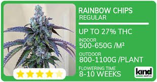 Essential Guide to Growing Marijuana Seeds in Minnesota Essential Guide to Growing Marijuana Seeds in Minnesota