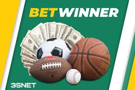 APK for BetWinner Your Guide to Downloading and Using the App APK for BetWinner Your Guide to Downloading and Using the App