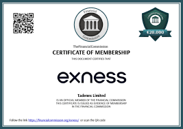 Set Up Exness Apk On - Your Comprehensive Guide Set Up Exness Apk On - Your Comprehensive Guide