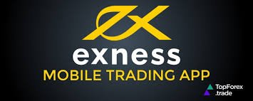 Understanding Exness Mt4 Web Terminal A Comprehensive Guide