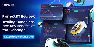 Explore the PrimeXBT Trading Platform A Comprehensive Guide
